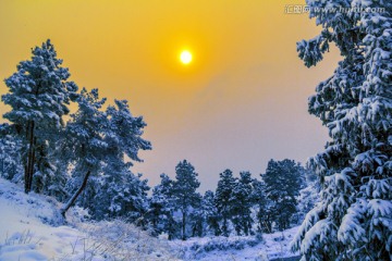 冰天雪地