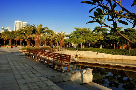 城市园林风景