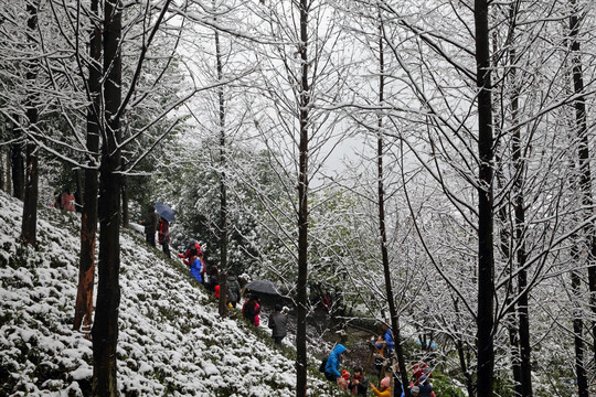 冰天雪地