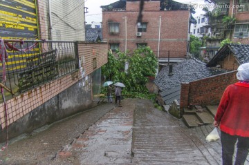 泸州市江阳区分水镇