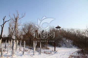 马踏湖湿地公园雪景