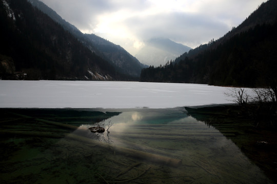 箭竹海