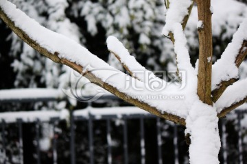 雪景
