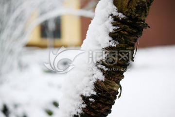 雪景