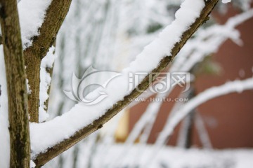雪景