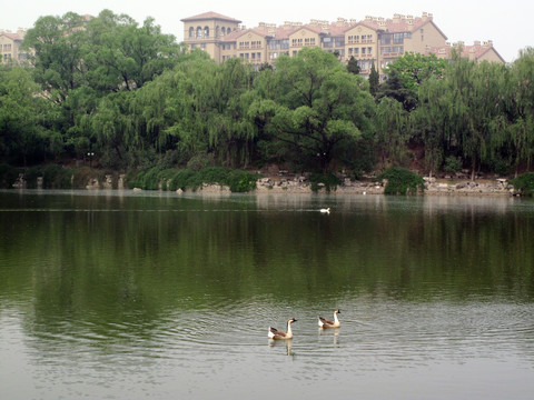 北京小汤山疗养院