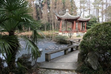 植物园风景