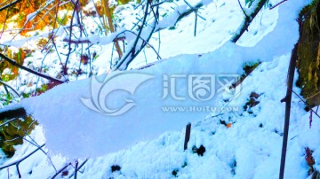 树枝积雪 山林雪景