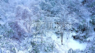 山林雪景 雾凇