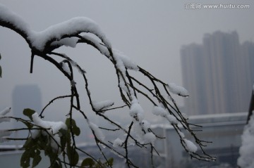 雪