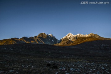 金山