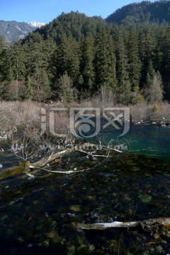 九寨沟 湖泊 青山