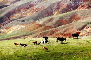 伊犁地理草原风景