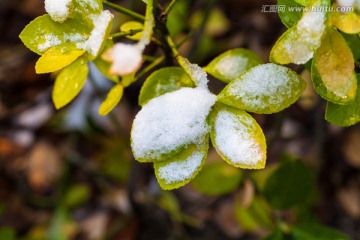 冰雪