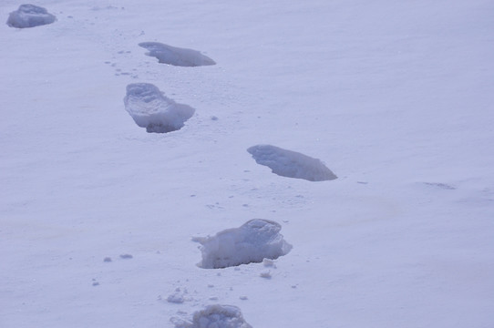 雪地脚印