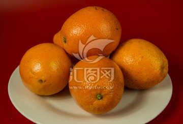 脐橙 橙子