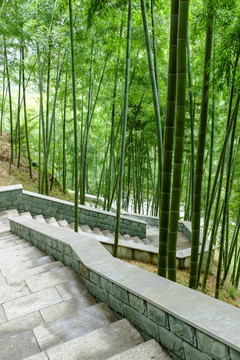 竹林