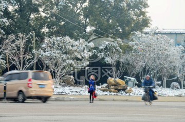 雪后街景