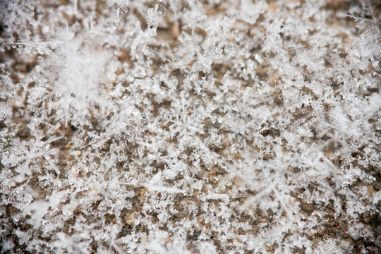 雪花