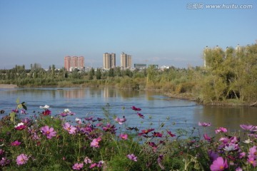 伊犁河