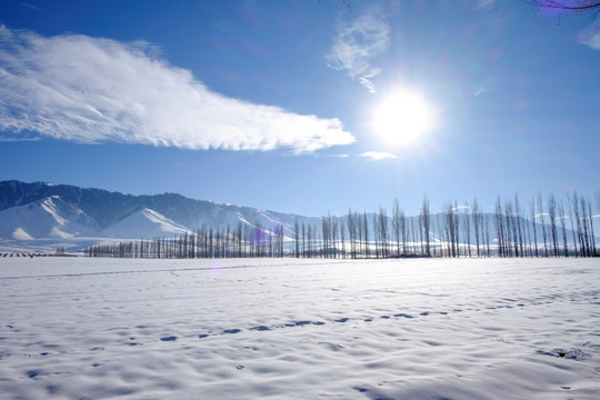 雪景