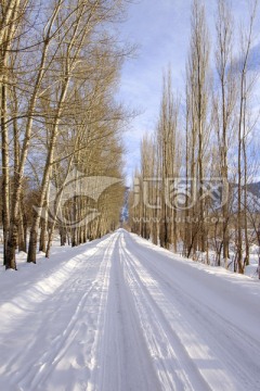 冬天的小路