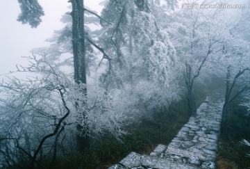 雪中小径