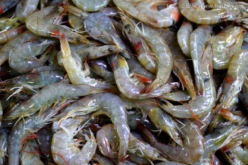 海鲜 美食 大虾 虾 餐饮