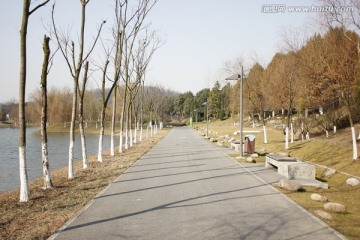 公园的路
