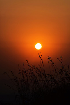 夕阳落日