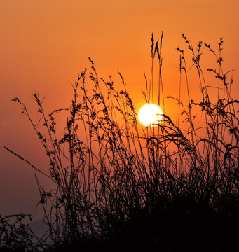 夕阳落日