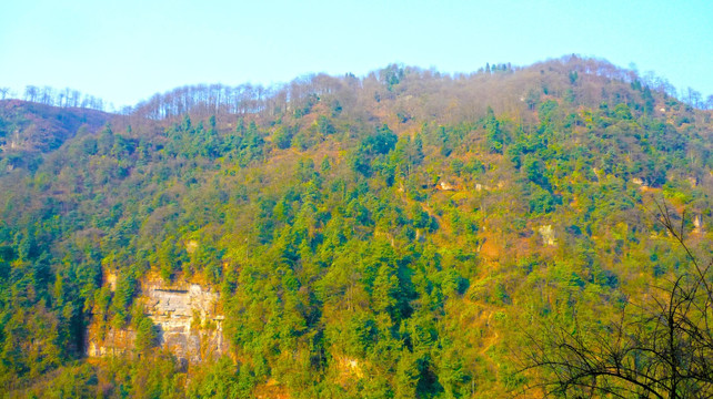 黄连河山景 大山