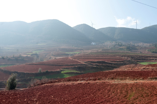 昆明东川红土地