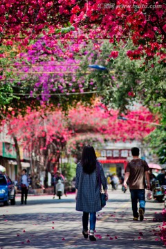 南宁 平西路 春天