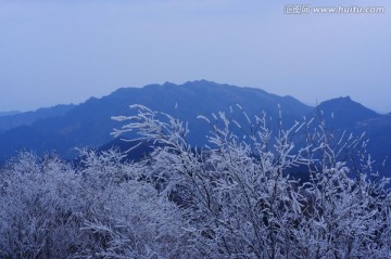 荔波雪景