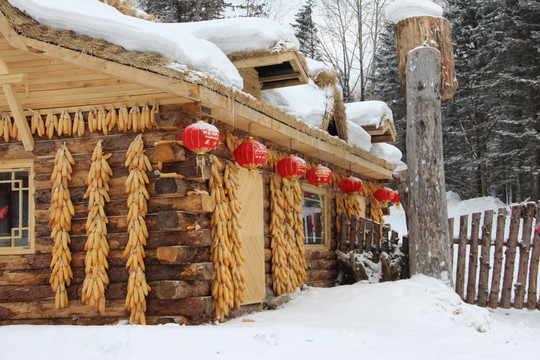 雪景 东北