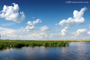 湿地 春天 芦苇 蓝天 白云