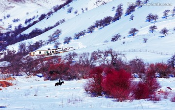 新疆伊犁大西沟冬季旅游风景图片