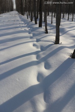 雪地足迹