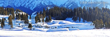 新疆伊犁山谷雪景