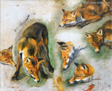 狐狸动物油画
