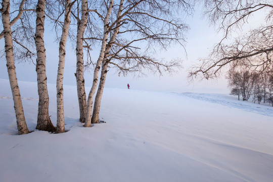 乌兰布统草原雪景