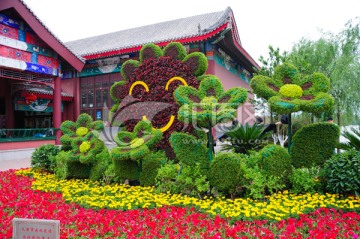 植物雕塑 太阳 花朵