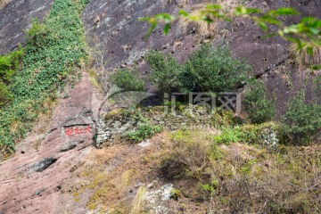 武夷山岩茶园 大红袍茶园