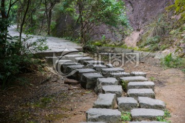 武夷山景区小路 林荫小道