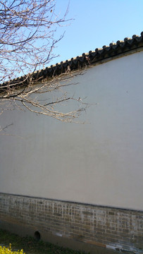 白墙