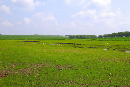 田园风光
