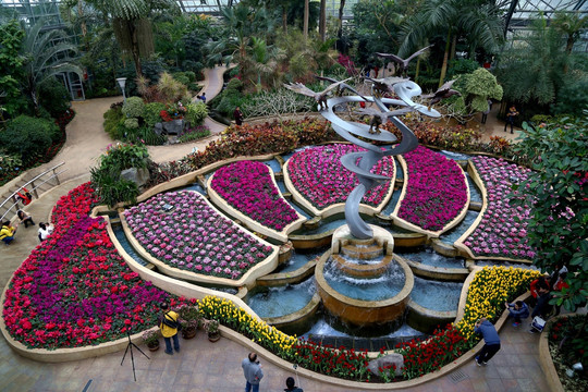 植物园 温室房 内景