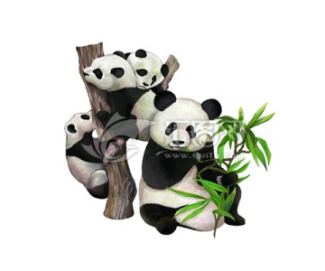 熊猫啃竹子