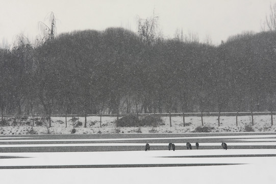 昆湖雪景